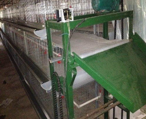 蛋鸡装备传送带式清粪机常见的这些问题你都知道吗？？？？